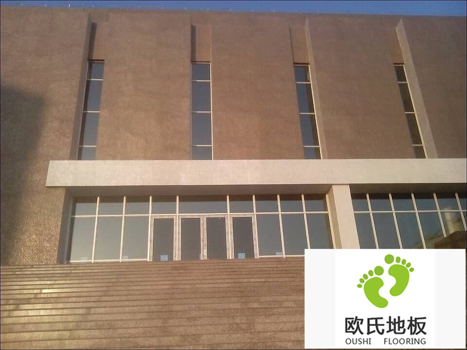 籃球場(chǎng)地板施工案例-樂(lè )清市蒲岐中學(xué)